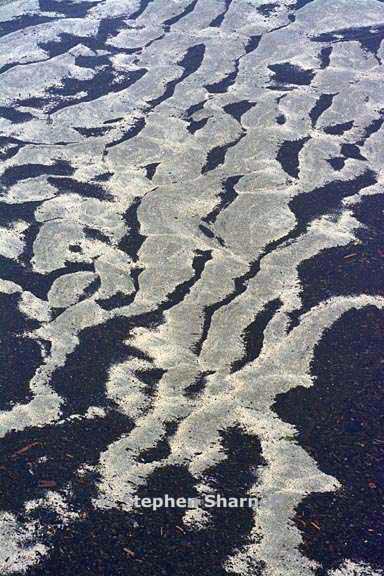 underwater pattern 16 graphic